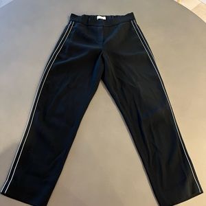 Babaton Conan Pants bought from Aritzia